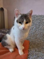 /album/262/whatsapp-image-2026-04-08-at-16-51-19-4-jpeg/